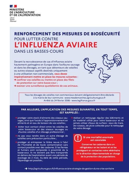 Influenza aviaire : la France place son territoire en niveau de risque élevé pour renforcer la protection des élevages avicoles