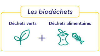 biodéchets