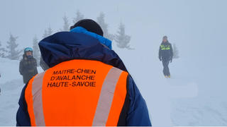 Maître-chien d'avalanche de Haute-Savoie