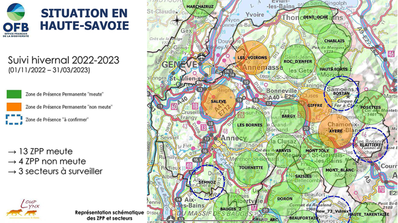 loup : situation en Haute-Savoie - suivi hivernal 2022-2023