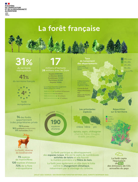la forêt française