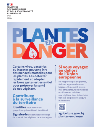 plantes en danger