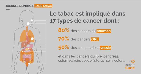 Le tabac est impliqué dans 17 types de cancer