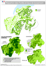 répartition des forêts et taux de boisement