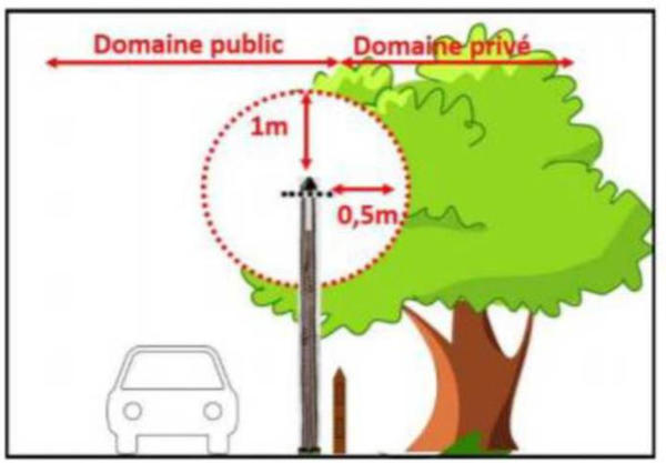 élagage des arbres : domaines public et privé
