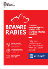 Beware rabies